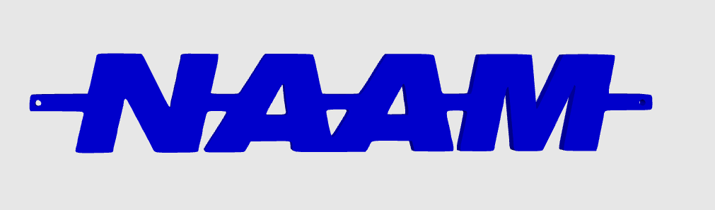 NAAM – Logo et décorations uniques pour setup gaming, bureau et camions. Un design moderne et durable pour un style personnalisé